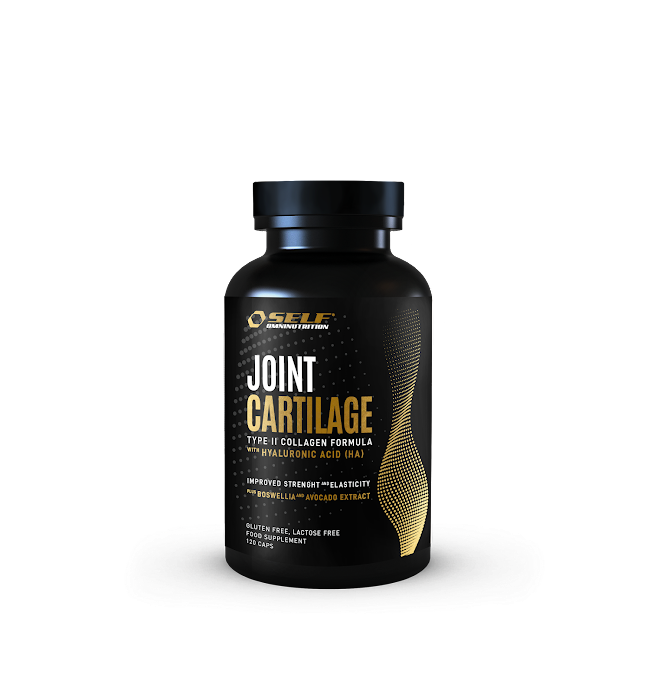 Joint Cartilage